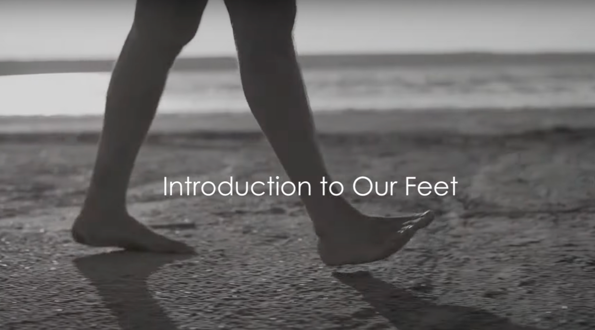 Load video: Introduction to our Feet